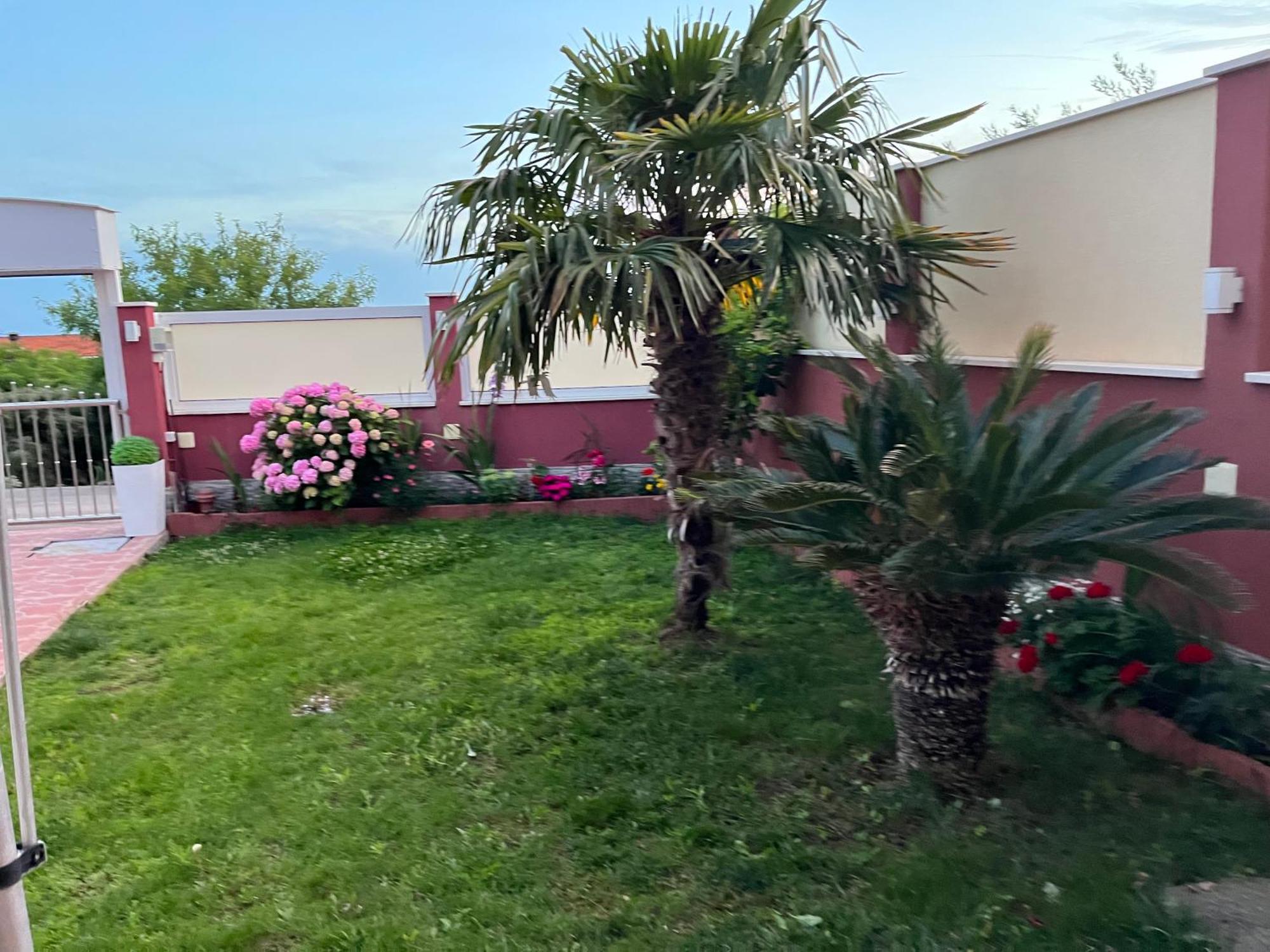 Apartments Villa Stella Maris 로고즈니차 외부 사진